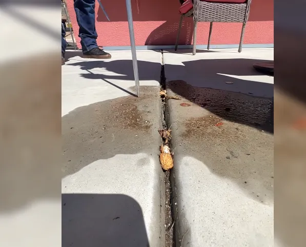 Inspecting a crack in a pool deck for a leak