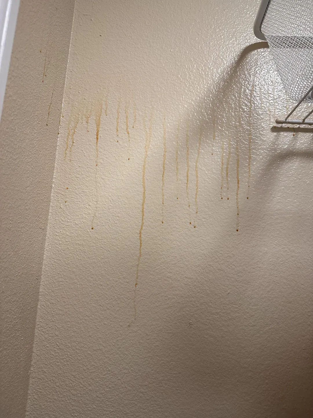 Water streaks on an interior wall from a hidden leak