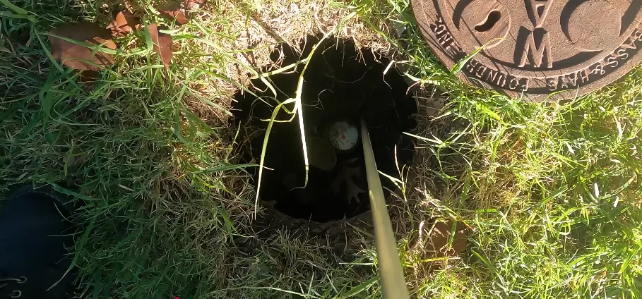Checking the water meter box for a leak